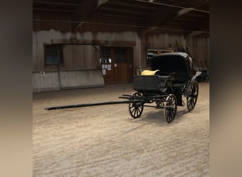 Viktoria Kutsche Mayer Munich, historique, finition en vernis d'origine