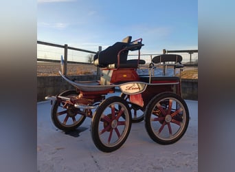 Leon von Hansmeier - Trainingswagen zu verkaufen