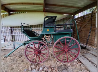 Carrosse, voiture de marathon, attelé simple et double.