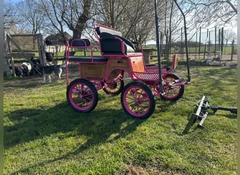 petite voiture pour poney