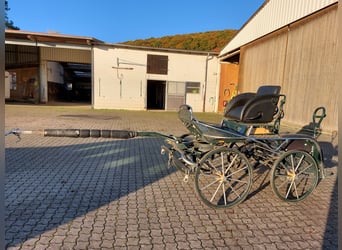 Voiture de marathon / tout-terrain pour poney, attelage à 2 ou 4 chevaux