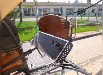 Nouveau wagon à chevaux