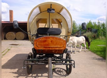 Nouvelle voiture à chevaux