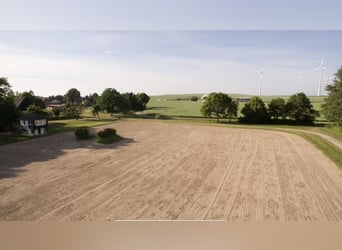 15 ha de tierra, una finca ecuestre de ensueño en Passin, Meck.-Pomerania, cerca del Mar Báltico.