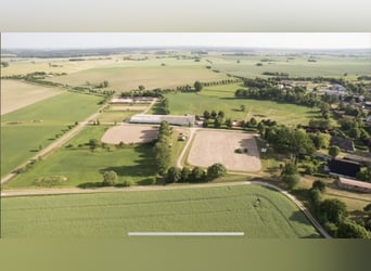 15 ha de tierra, una finca ecuestre de ensueño en Passin, Meck.-Pomerania, cerca del Mar Báltico.