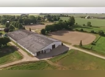 15 ha de tierra, una finca ecuestre de ensueño en Passin, Meck.-Pomerania, cerca del Mar Báltico.