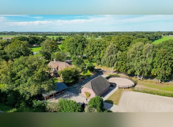 Amazing location for horselovers