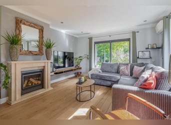 Amazing location for horselovers