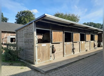 Aussenställe mit Padock 