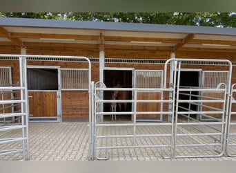 Casa moderna con instalaciones ecuestres, establos y vivienda con caballos