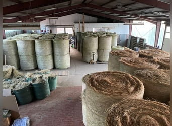 Casa residencial (3 viviendas) con establo abierto/box, paddock, sendero, pista de equitación, nave