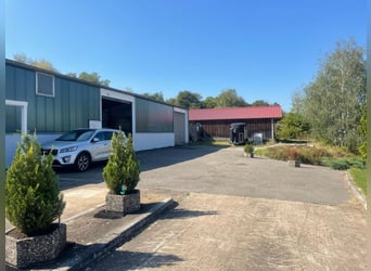 Casa residencial (3 viviendas) con establo abierto/box, paddock, sendero, pista de equitación, nave