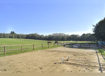 Casa residencial reformada con 6 boxes para caballos, área de equitación, praderas con vallas de mad