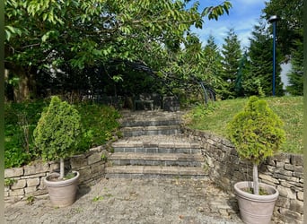 Centro ecuestre en Harz, en Bad Sachsa – Gran finca de campo con pista cubierta y ubicación aislada.
