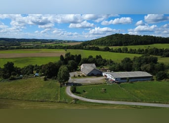 Centro ecuestre en Harz, en Bad Sachsa – Gran finca de campo con pista cubierta y ubicación aislada.