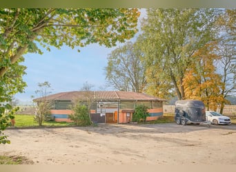 Centro ecuestre en venta cerca de Berlín – capacidad para casi 100 caballos en el distrito de Havell