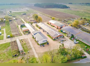 Centro ecuestre en venta cerca de Berlín – capacidad para casi 100 caballos en el distrito de Havell