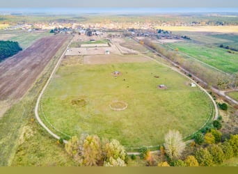 Centro ecuestre en venta cerca de Berlín – capacidad para casi 100 caballos en el distrito de Havell