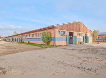 Centro ecuestre en venta cerca de Berlín – capacidad para casi 100 caballos en el distrito de Havell