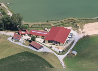 Centro ecuestre junto al lago