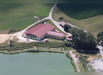 Centro ecuestre junto al lago