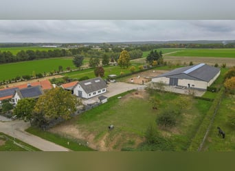 COMPACT EQUESTRIAN COMPLEX