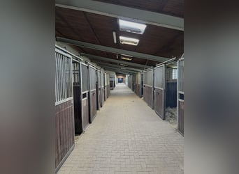 Complejo ecuestre de 15 hectáreas cerca del Mar Báltico – parcelas consolidadas