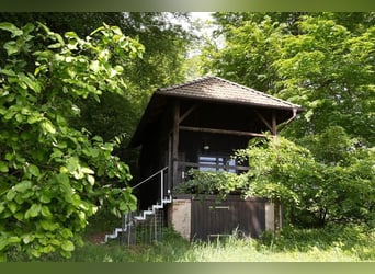 Compra de casa rural o granja en Allgäu, en ubicación aislada con aproximadamente 11 hectáreas de pr
