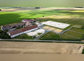 Ecurie de valorisation 