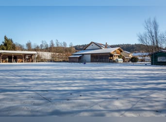 Encantadora casa de campo con área para caballos desarrollada en Zeilarn (al este de Múnich), sin co