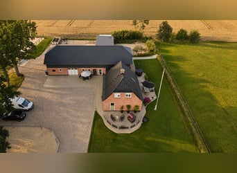 Encantadora casa de campo con instalaciones ecuestres de alta calidad en Sønderjylland, en una ubica