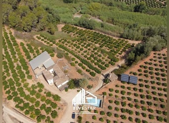 Encantadora finca para amantes, ideal para la cría de caballos
