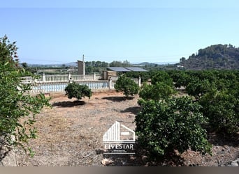 Encantadora finca para amantes, ideal para la cría de caballos