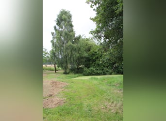 Establecida finca y centro ecuestre – aproximadamente 8 hectáreas de terreno consolidado – de uso ve