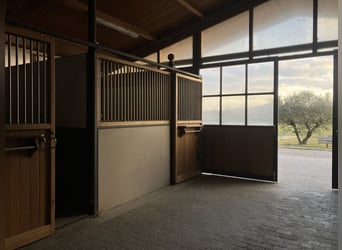 Establo de deporte de alta gama