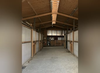 Establo de deporte de alta gama