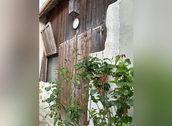 Estructura ecuestre polivalente en el corazón de Brie