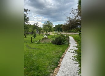 Estructura ecuestre polivalente en el corazón de Brie
