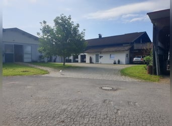 Exclusiva instalación ecuestre con potencial residencial y de inversión en Allgäu