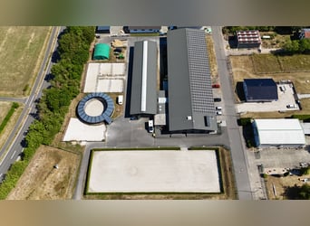 Exclusiva instalación ecuestre en el Parque Nacional Eifel: equipamiento de alta calidad y distancia