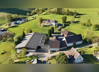 Exclusiva instalación ecuestre en Sauerland | Casa de campo, apartamentos turísticos, pista cubierta