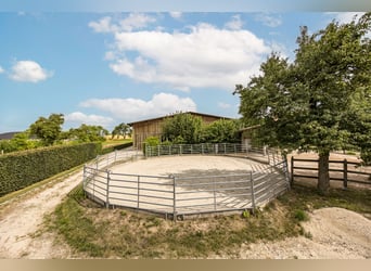 Exclusivo haras con una casa de campo jurásica galardonada y renovada, que incluye un concepto energ