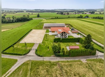 Exklusive Reitanlage mit Mehrfamilienhaus (4 WE) im Allgäu