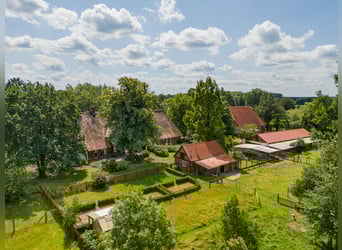 Exklusives Anwesen 70 km südöstlich von Hamburg mit optional 30 ha Eigenland