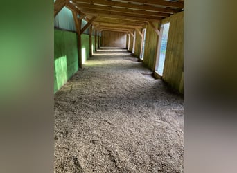 Exklusives Anwesen mit Wohnhaus, Reitanlage, Werkstatt und Photovoltaik – Sofort bezugsfertig 