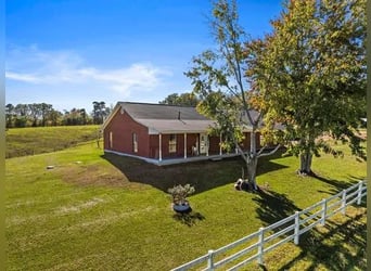 Farm for sale 