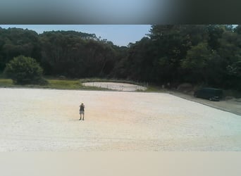 Finca con casa y hipica privada