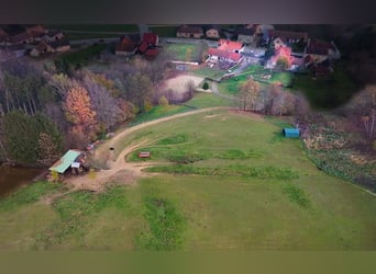 Finca con instalaciones ecuestres en venta