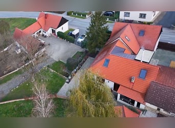 Finca con instalaciones ecuestres en venta