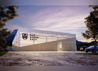 Finca de ensueño en el sur de Carintia con un potencial de desarrollo excepcional